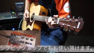 【試奏動画】FISHMANTONEDEQ [upl. by Oned]