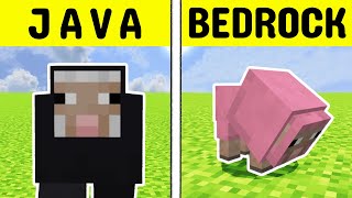 40 Minecraft Java vs Bedrock Differences [upl. by Eecyac]