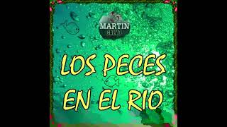 Los peces en el rio Karaoke Para Violin [upl. by Occer]