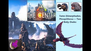 ARK Survival Ascended  TAME DIMORPHODON MESOPITHECUS  BABYS  MAP THE CENTER  MHG 4K  10 [upl. by Yanehc]