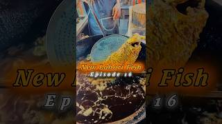 Episode 16New Lahori Fish  Fish Fry  fish Recipe taxila foodfoodieboyz streetfood fishrrcipe [upl. by Eiramlatsyrc161]