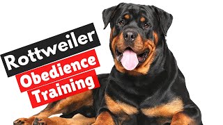 Rottweiler Obedience Training Complete StepbyStep Tutorial [upl. by Bunns]