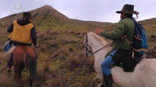 Buscando Caballos Cerreros Caballos Salvajes en los Páramos de Colombia  Versión Invierno  4K [upl. by Yarrum153]