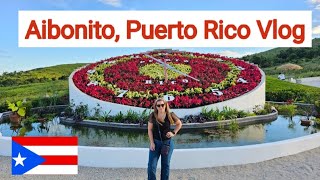 Reloj de Flores en Aibonito Puerto Rico Beer Garden Vlog Things to visit in Aibonitotravel vlog [upl. by Greenstein]