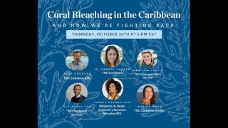 Coral Bleaching in the Caribbean and How Were Fighting Back [upl. by Hoenack]