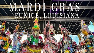 Mamou Mardi Gras Eunice Louisiana A Cajun Celebration with Steve Riley and the Mamou Playboys [upl. by Thisbe]