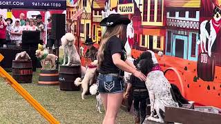 Pompeyo’s Dog Show Introduction Florida Strawberry Festival Plant City FL 3524 [upl. by Elleda]