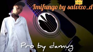 Imifungobysalvizodofficial video lyrics pro by damug [upl. by Eyahs]