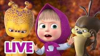 🔴 EN DIRECT 🐻👱🏻‍♀️ Masha et Miсhka ✨ Halloween avec des extraterrestres 🎃👽 Masha and the Bear [upl. by Dola192]