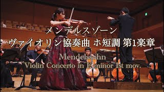 不朽の名作！【メンデルスゾーンヴァイオリン協奏曲 ホ短調 第1楽章（Felix Mendelssohn Violin Concerto in E minor 1st mov）】 [upl. by Sharyl]