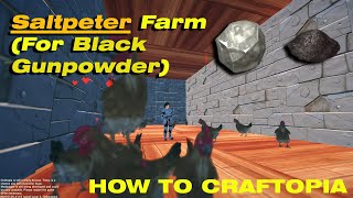 How to make a Saltpeter Farm for black gunpowder HOW TO CRAFTOPIA [upl. by Laverne]