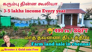 🏡🎊Just 499 RsSqft🤩Land sale in chennai🤓35 lac income guarantee🤯Monthly Emi scheme🤑1cent 218 lac [upl. by Spracklen950]