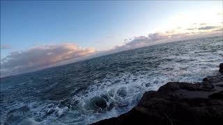 Lure fishing in Filey brigg  Scarborough 13 april 2019 [upl. by Matazzoni992]