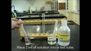 Tests for cations react with dilute ammonia solution [upl. by Magdala]