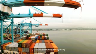 port newark container terminal cargo operations in timelapse [upl. by Reuven924]