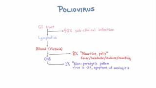 Polio  Clinical Presentations [upl. by Sane487]