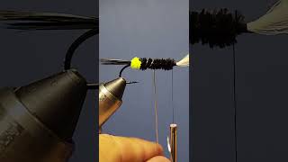 Green Butt Skunk Steelhead Fly fishing flyfishing flytying [upl. by Maurer]