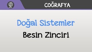 Doğal Sistemler  Besin Zinciri [upl. by Patsis]