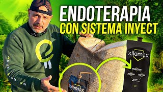 ENDOTERAPIA VEGETAL Aprende el paso a paso y todos sus beneficios [upl. by Munroe904]