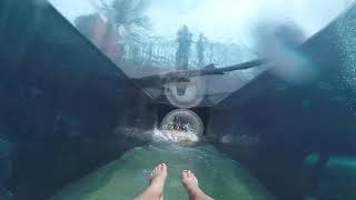 Atlantis Bahamas all Water Slides POV [upl. by Nyrol]