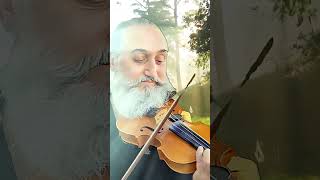 Song from a Secret Garden  Violin Cover [upl. by Salema]