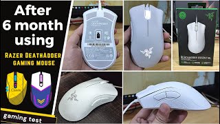 After 6 month using  Razer DeathAdder Essential White Edition Gaming Mouse detail review [upl. by Hayifas364]