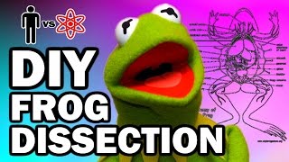 DIY DISSECTION  Man Vs Science 7 [upl. by Ylellan]