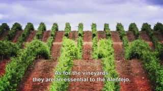 Wines of Alentejo  Naturally Unique  HD English [upl. by Amii]