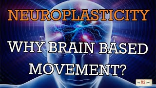 NeuroPlastic Nugget 3 Why Focus On BrainBased Movement [upl. by Farhi]