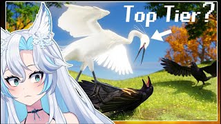 quotThe Bird Tier Listquot by TierZoo  SmugAlana Reacts [upl. by Hanser524]