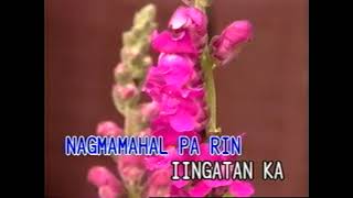 Iingatan Ka  Video Karaoke Star Records [upl. by Mahda584]