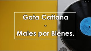 Gata Cattana  Males por Bienes Letra  Lyrics [upl. by Timus634]