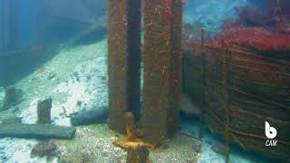 Ferry Pier infrastructure inspection  Blueye Pioneer underwater drone [upl. by Armallas618]