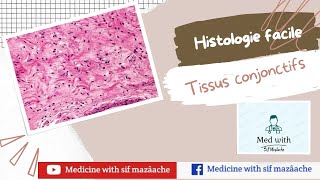 3 Les Tissus conjonctifs  Histologie 1ère MED [upl. by Adhamh]