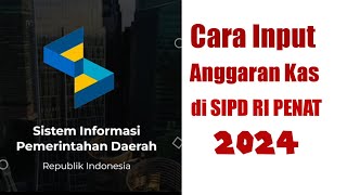 Cara Input RAK Rincian Anggaran Kas di SIPD RI Penatausahaan 2024 [upl. by Ahsitram]