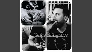 Lobo estepario [upl. by Odilia]