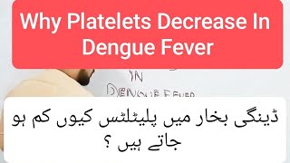 Why Does Platelets Decrease in Dengue Fever [upl. by Richela977]