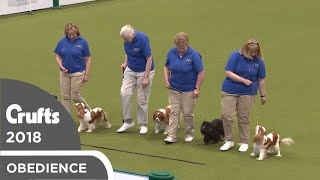 Obreedience  Canny Cavaliers  Crufts 2018 [upl. by Aved656]