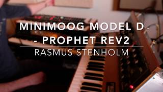 Prophet Rev2 and Minimoog together LIVE [upl. by Asirem116]