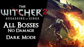 The Witcher 2 Level 1  All Bosses on Dark【No Damage Rolling Potions Signs Armor Traps Bombs】 [upl. by Ahseenak642]