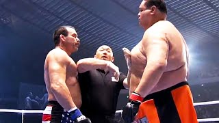 Don Frye USA vs Taro Akebono USA  MMA fight HD [upl. by Hillman192]