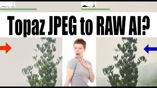 REVISITING OLD TOPAZ JPEG TO RAW AI CONVERTER SOFTWARE REVIEW [upl. by Lamrej]