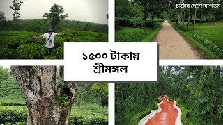 Tea GardenSrimangal Tour Beautiful Bangladesh Documentary শ্রীমঙ্গলসিলেট [upl. by Clift]