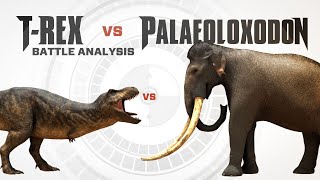 TREX vs PALAEOLOXODON  Battle FACEOFF Analysis [upl. by Anastos575]