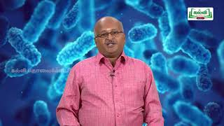 KALVI TV OFFICIAL  ஆய்வுக் கூடம்  STD 8  SCIENCE  நுண்ணுயிரிகள்  PART 01 [upl. by Esylla]