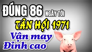 Tử vi Tân Hợi 1971 Đúng 86 ngày tới trời phật mở đường vận may giàu sang bất ngờ gõ cửa mạnh [upl. by Ellita]