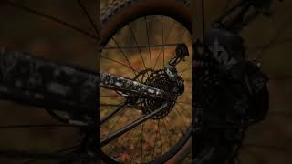 Bontrager Line Comp 30 Rapid Drive 108T Hub Sound [upl. by Vaas688]