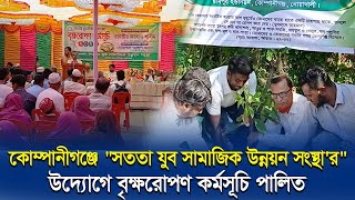 কোম্পানীগঞ্জে quotসততা যুব সামাজিক উন্নয়ন সংস্থারquot উদ্যোগে বৃক্ষরোপণ কর্মসূচি পালিত Noakhali tv [upl. by Leavitt]