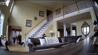 Earthquake captured on home cameras the moment it shakes NJ [upl. by Kala]