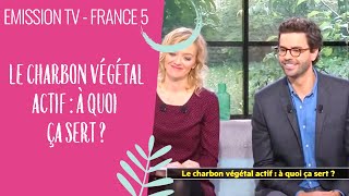 20 novembre 2017  France 5 La Quotidienne  Le charbon végétal à quoi ça sert [upl. by Herahab]